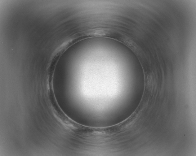 X0000054470302200508122010