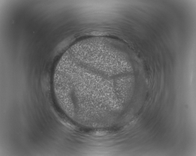 X0000054470303200508122010