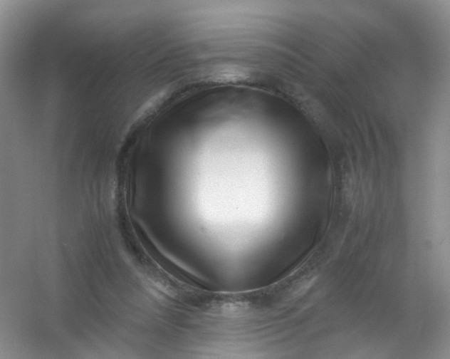 X0000054470304200508122010