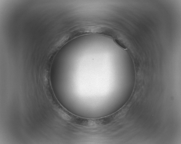 X0000054470305200508122010