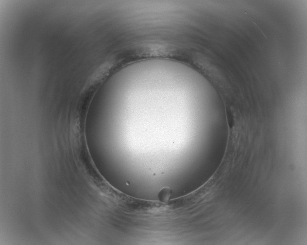 X0000054470306200508122010