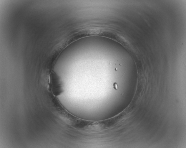 X0000054470307200508122010