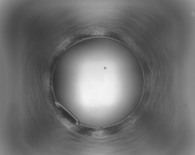 X0000054470309200508122010