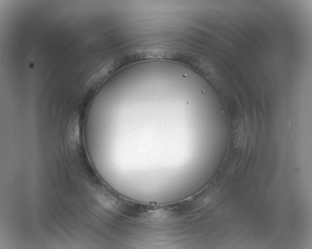 X0000054470310200508122010