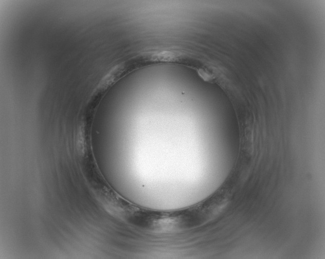 X0000054470312200508122010