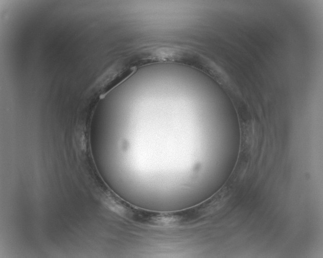 X0000054470313200508122010