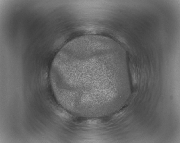 X0000054470314200508122010