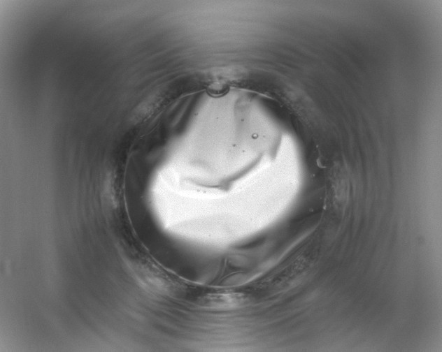 X0000054470316200508122010