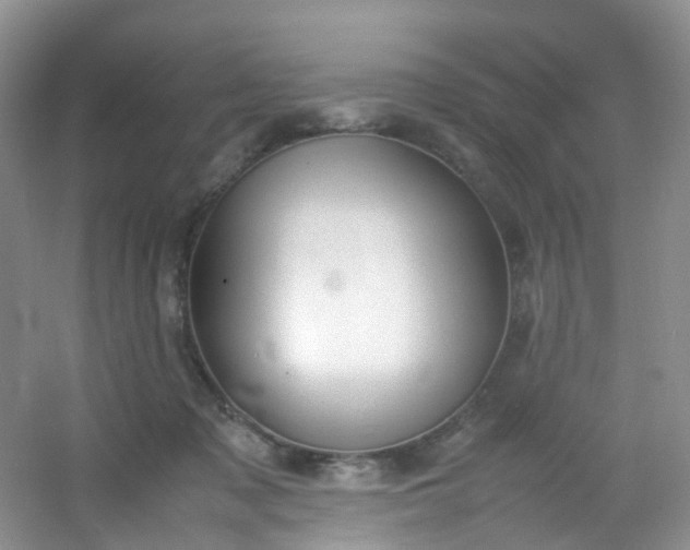 X0000054470317200508122010