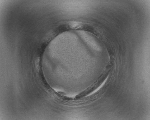 X0000054470319200508122010