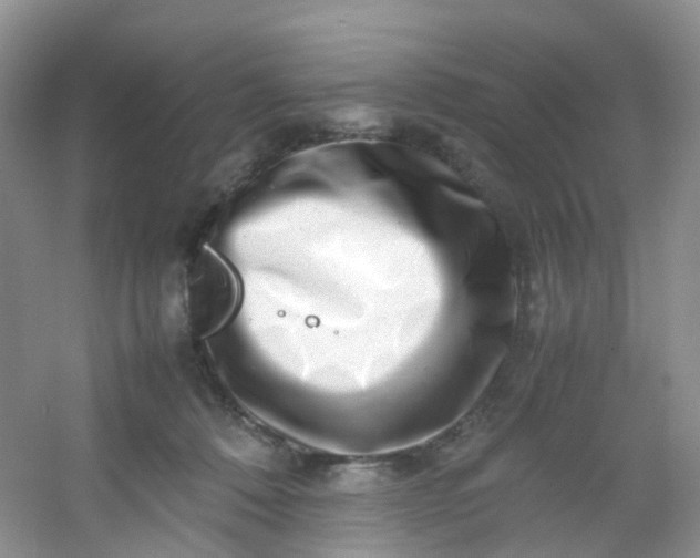 X0000054470320200508122010