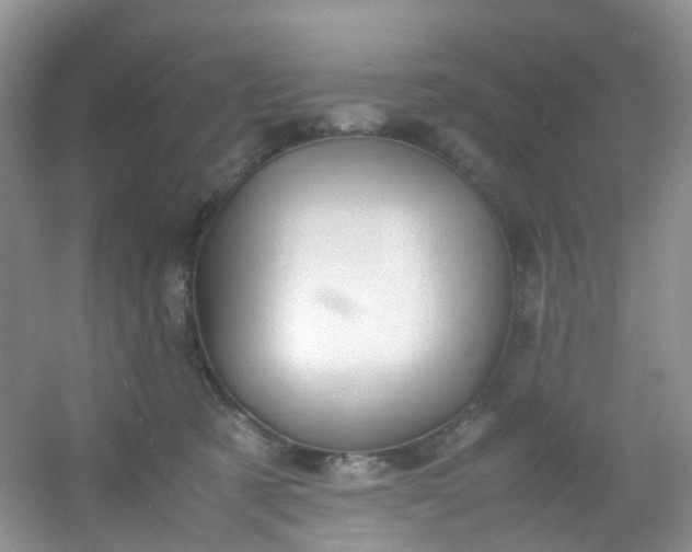 X0000054470321200508122010