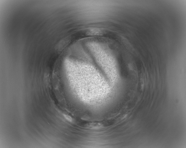 X0000054470322200508122010