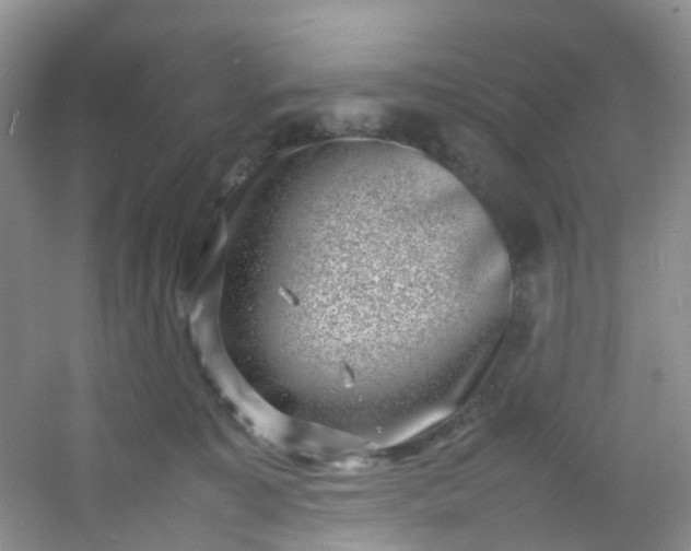 X0000054470323200508122010