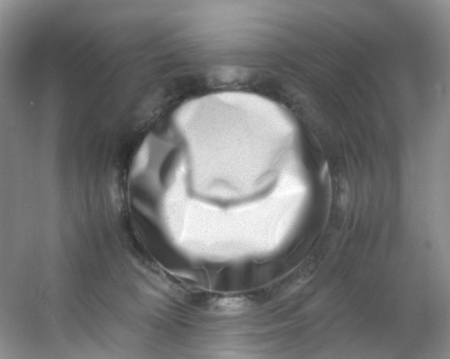 X0000054470324200508122010