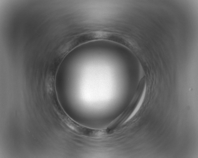 X0000054470325200508122010