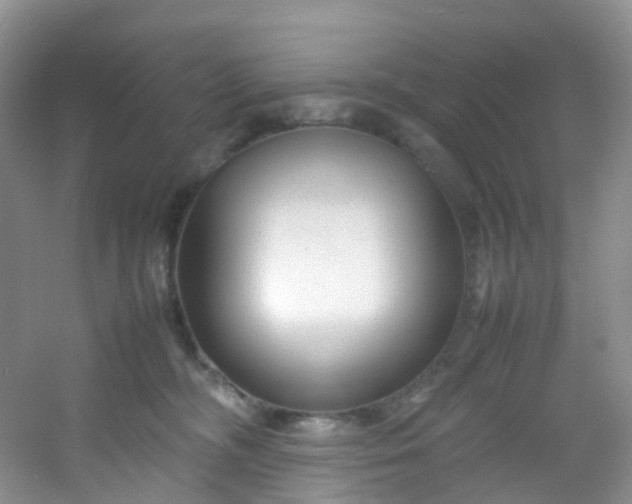 X0000054470326200508122010