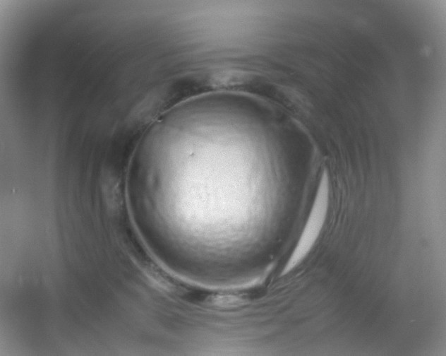 X0000054470327200508122010