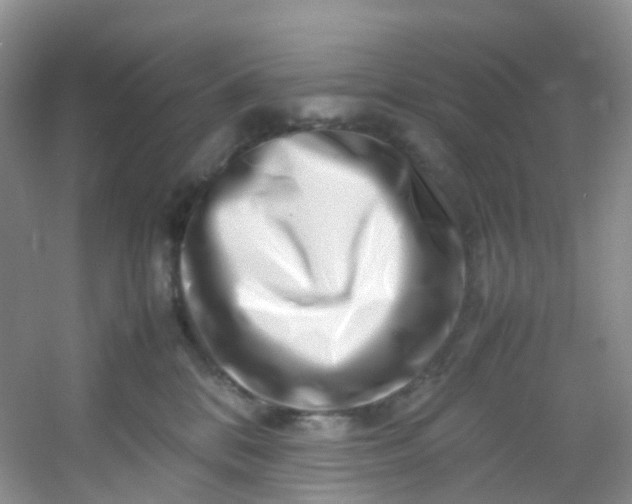 X0000054470328200508122010