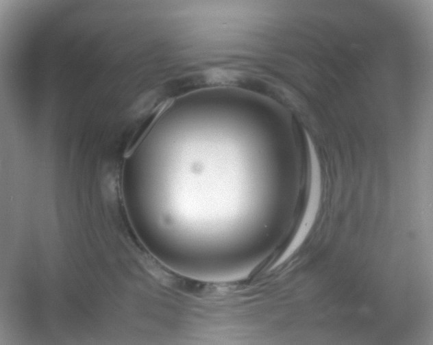 X0000054470329200508122010