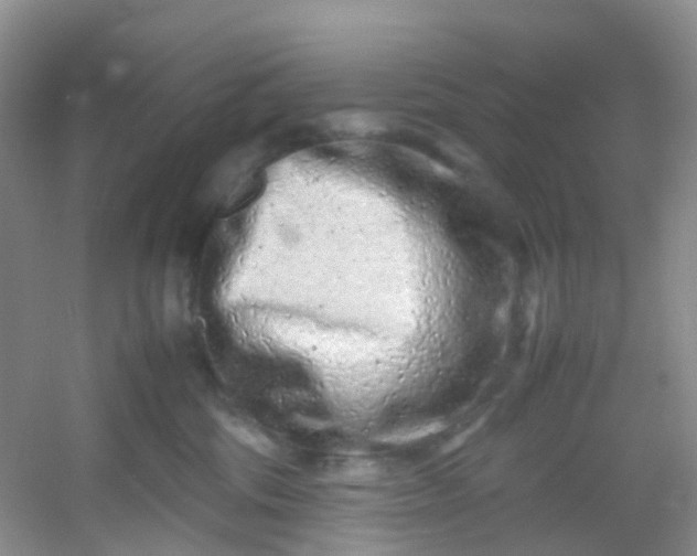 X0000054470330200508122010