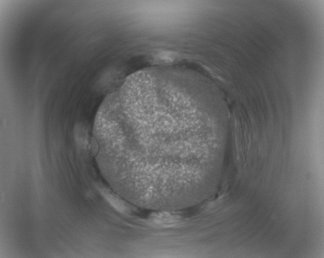 X0000054470331200508122010