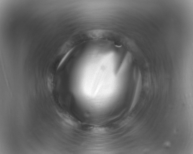 X0000054470332200508122010