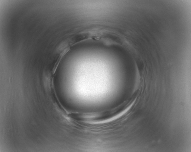 X0000054470333200508122010