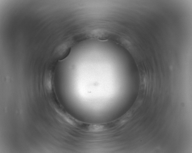 X0000054470334200508122010