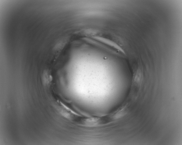 X0000054470335200508122010