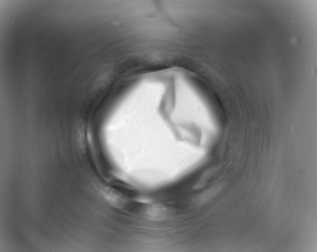 X0000054470336200508122010