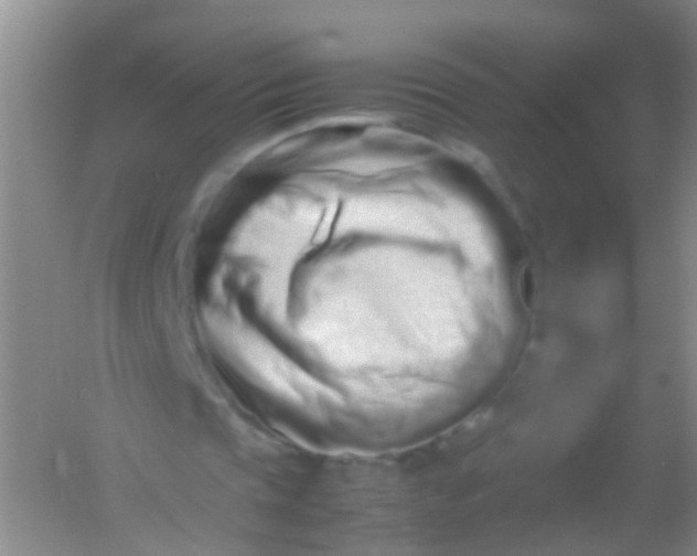 X0000054470337200508122009