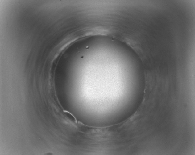 X0000054470338200508122009