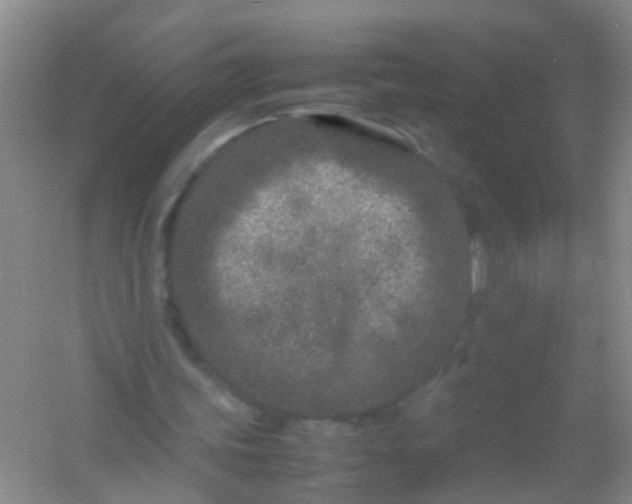 X0000054470339200508122009