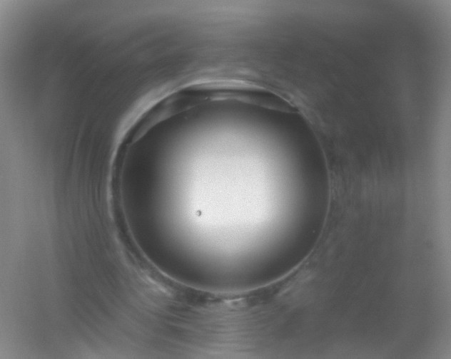 X0000054470340200508122009