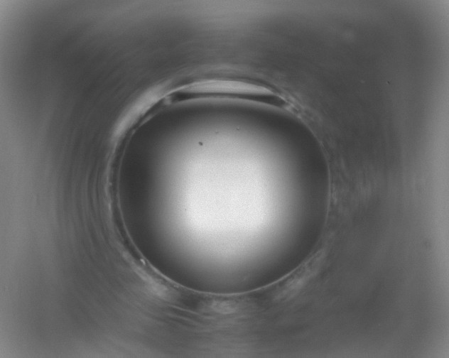 X0000054470341200508122009