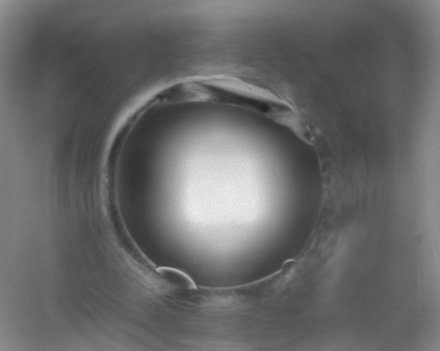 X0000054470342200508122009