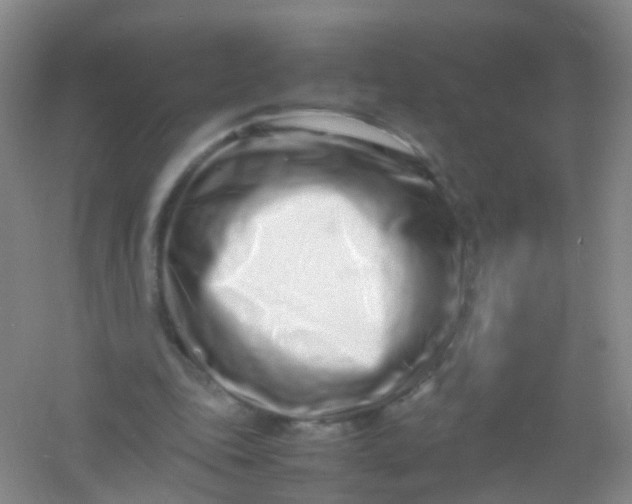 X0000054470343200508122009