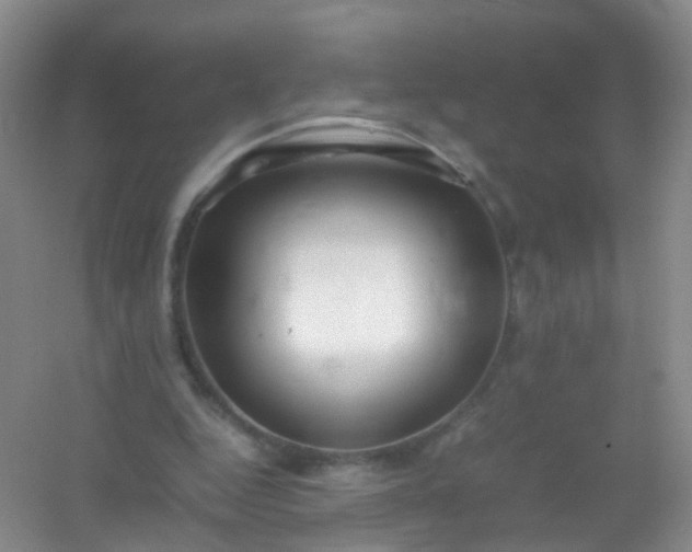 X0000054470344200508122009