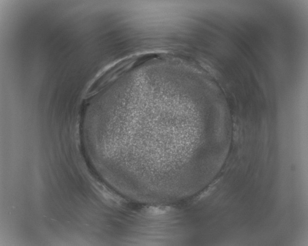 X0000054470346200508122009