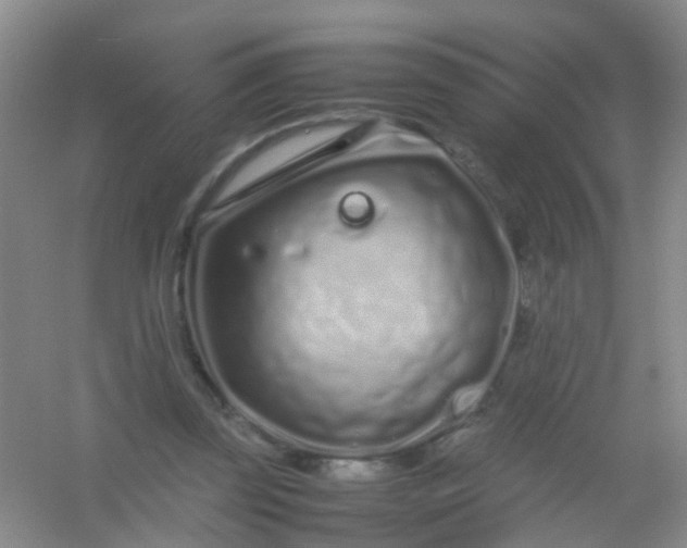 X0000054470347200508122009