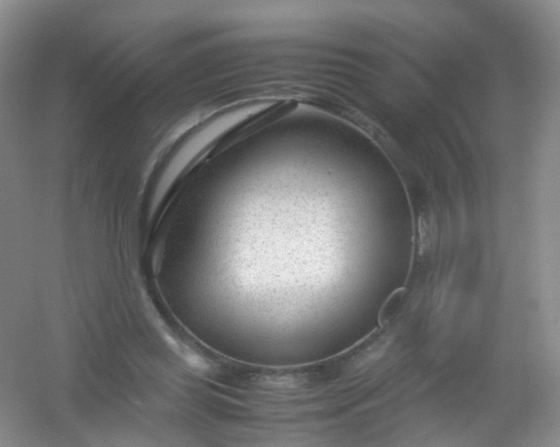 X0000054470349200508122009