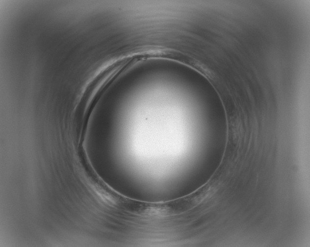 X0000054470350200508122009