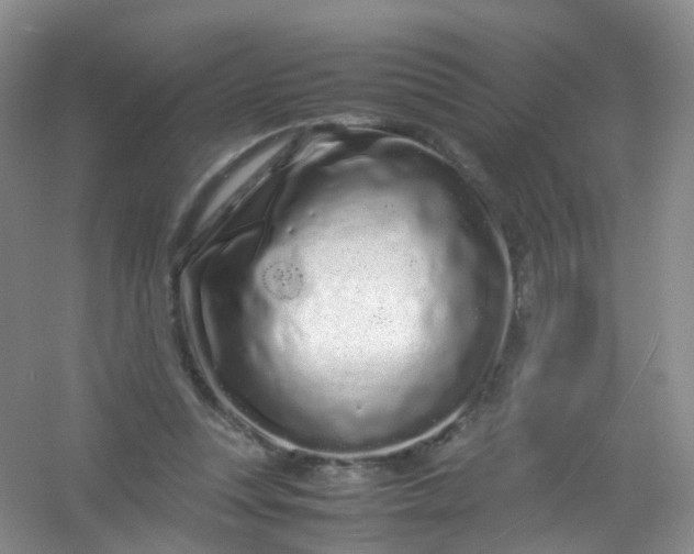 X0000054470351200508122009