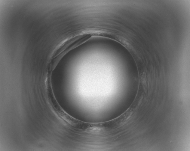 X0000054470352200508122009