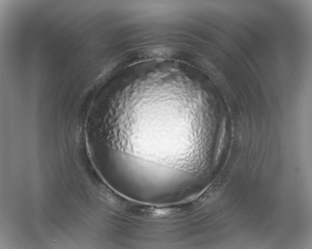 X0000054470355200508122009