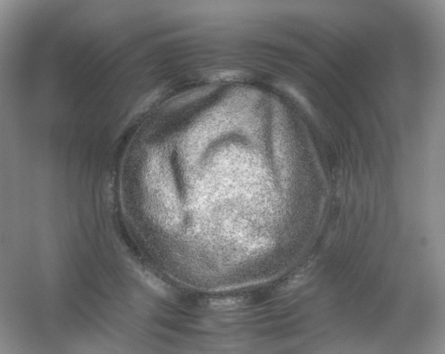 X0000054470357200508122009