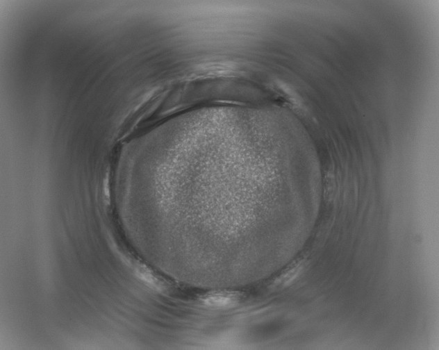 X0000054470358200508122009