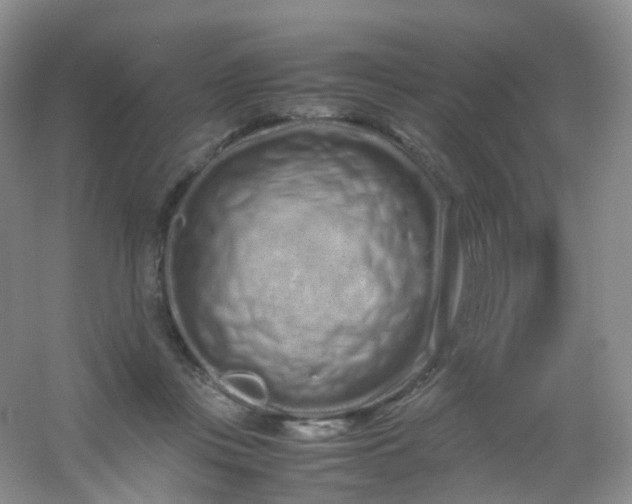 X0000054470359200508122009