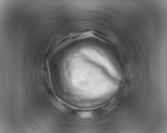 X0000054470361200508122009